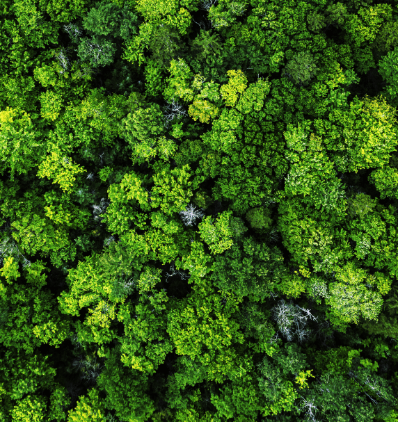 Green Equity Principles